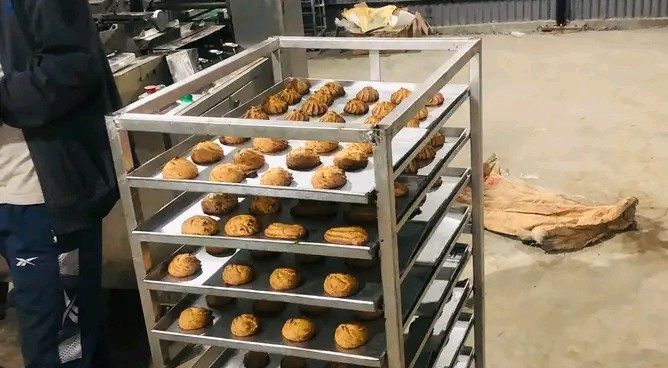 बडीमालिकामा कोदोको बिस्कुट उद्योगको परीक्षण उत्पादन सुरु